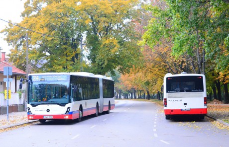 Ingyenes a közösségi közlekedés október 31. és november 3. között Székesfehérváron